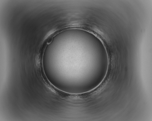X0000115261450200911061229