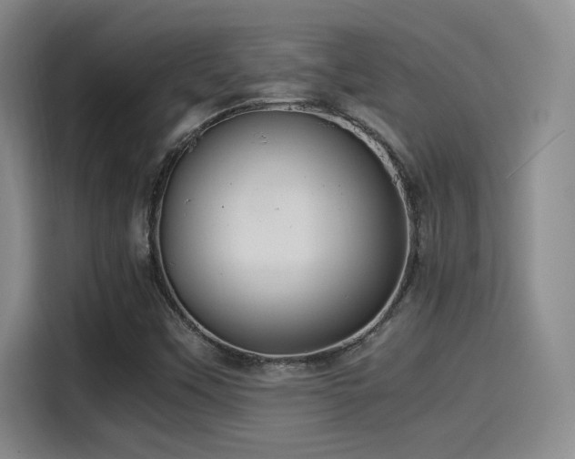X0000115261451200911061229