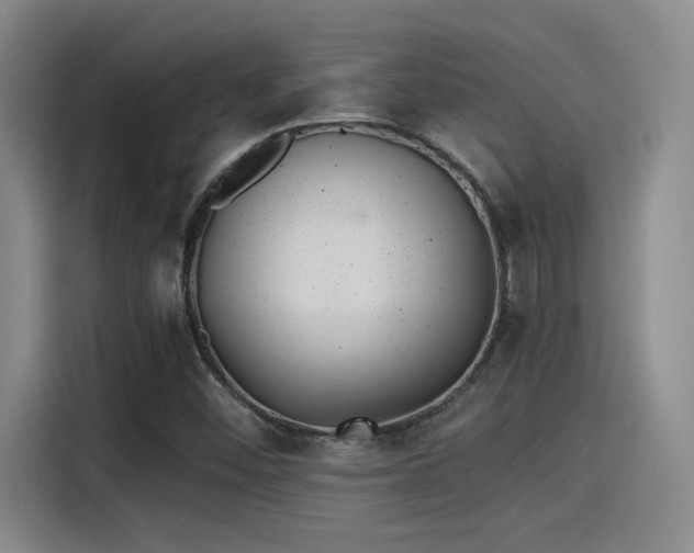 X0000115261452200911061229