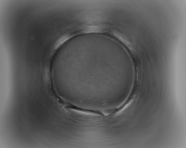 X0000115261453200911061229
