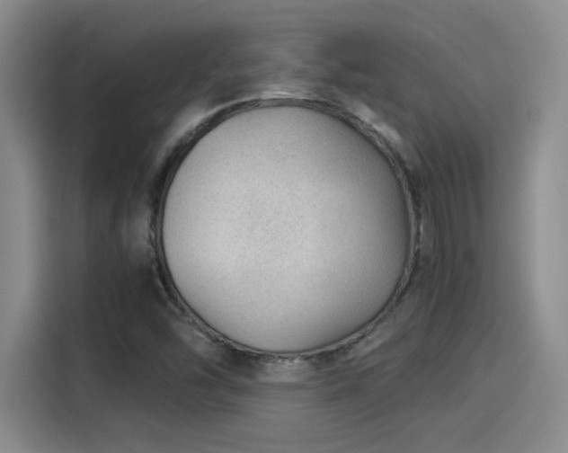 X0000115261454200911061229