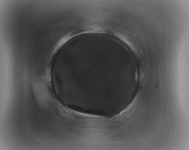 X0000115261455200911061229