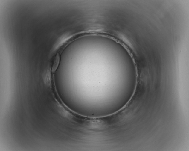 X0000115261456200911061229