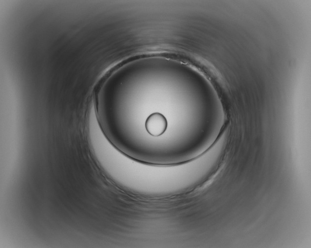 X0000115261457200911061229