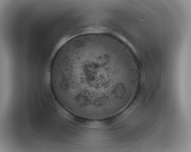 X0000115261459200911061229
