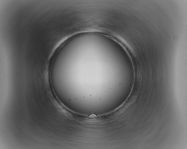 X0000115261460200911061229