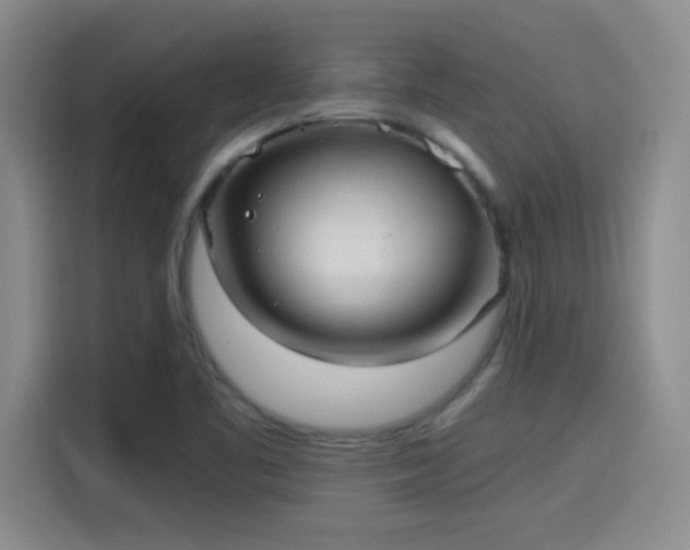 X0000115261461200911061229
