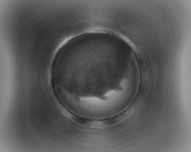 X0000115261463200911061229