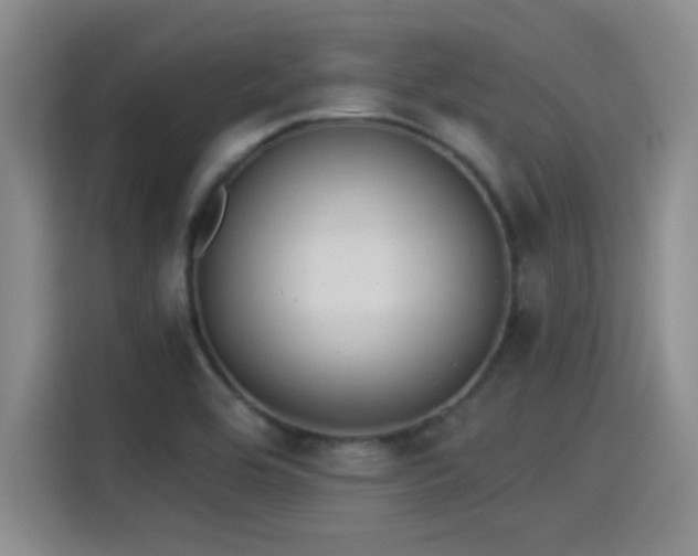 X0000115261464200911061229