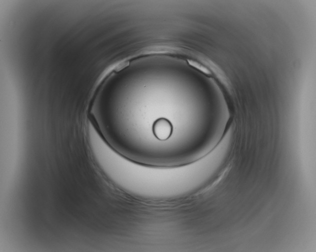 X0000115261465200911061229