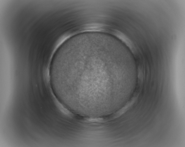X0000115261466200911061229