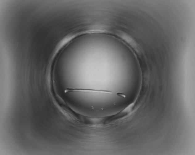 X0000115261469200911061229
