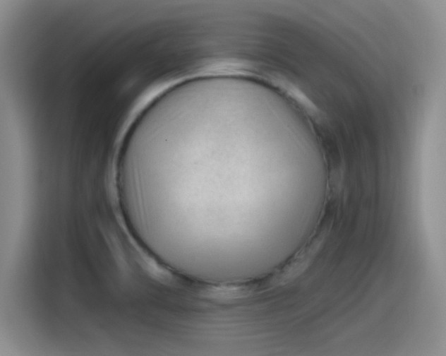 X0000115261470200911061229
