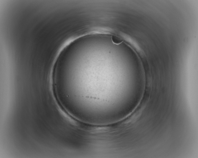 X0000115261471200911061229