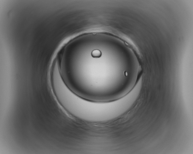 X0000115261472200911061229