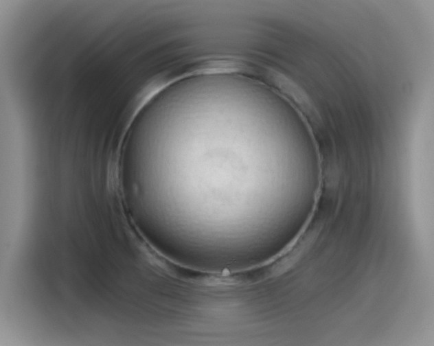 X0000115261473200911061229