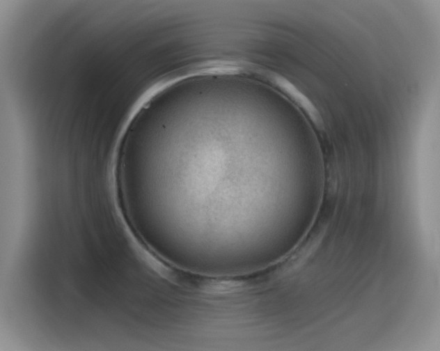 X0000115261475200911061229