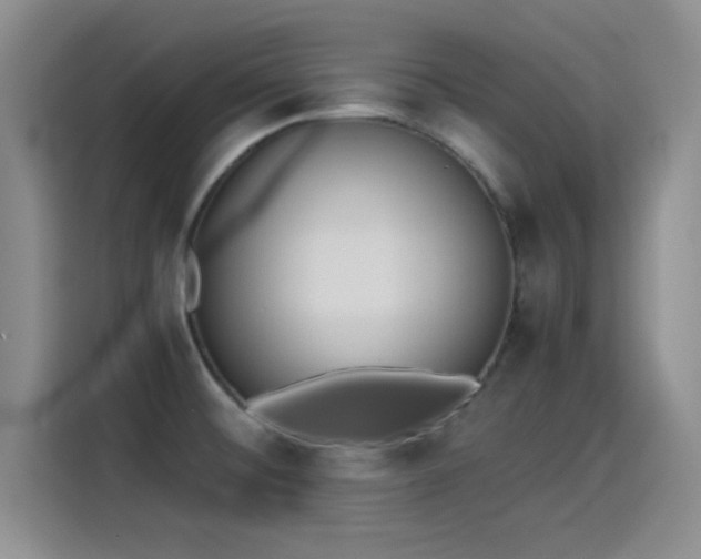 X0000115261476200911061229