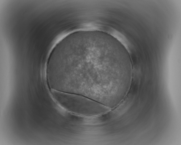 X0000115261477200911061229