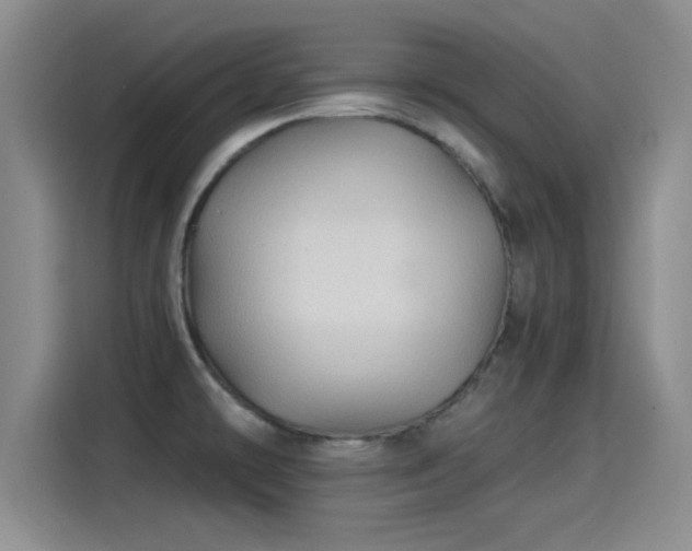 X0000115261478200911061229