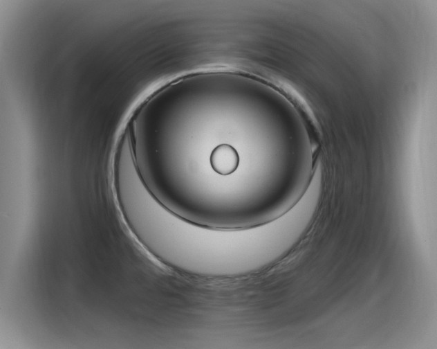 X0000115261480200911061229