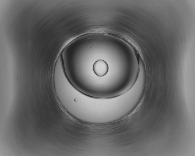 X0000115261481200911061229