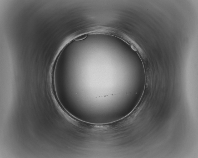 X0000115261483200911061229