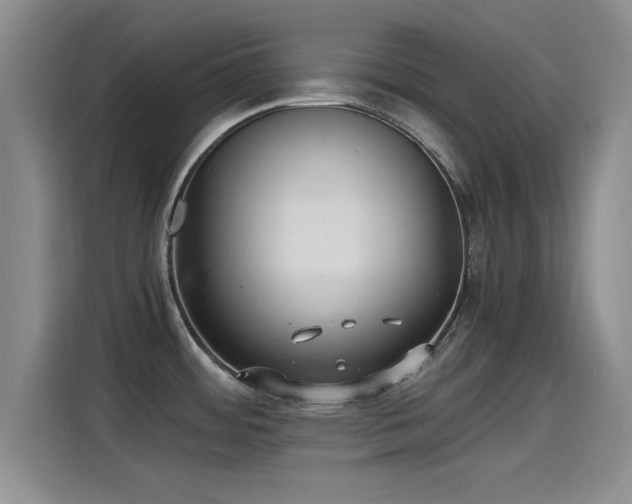 X0000115261484200911061229