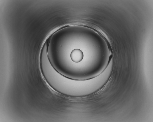 X0000115261485200911061229