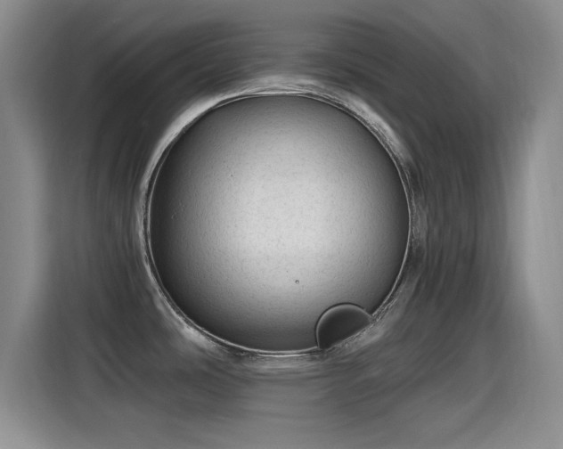 X0000115261486200911061229