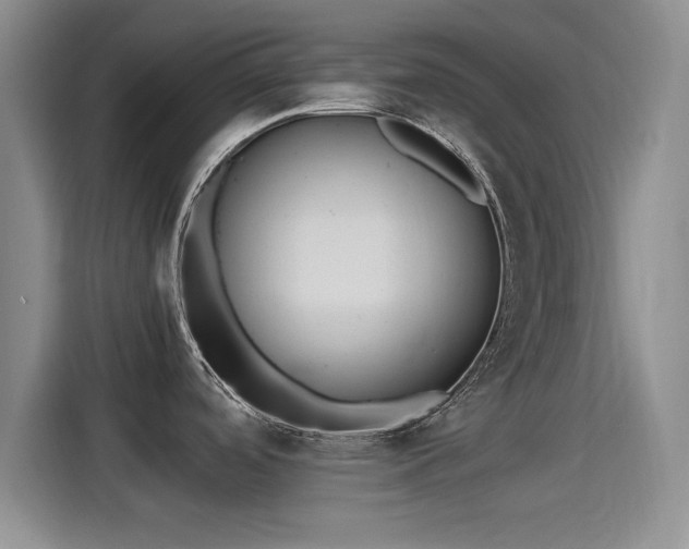 X0000115261488200911061229