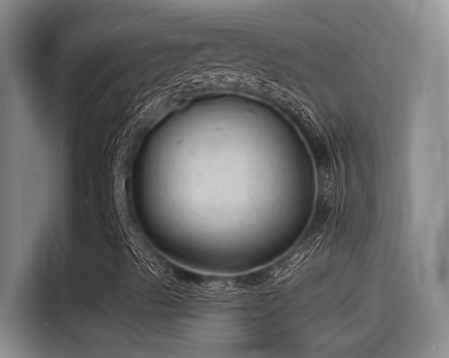 X0000115261489200911061228
