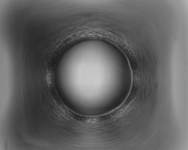 X0000115261490200911061228