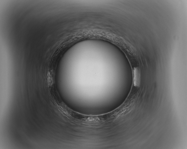 X0000115261491200911061228