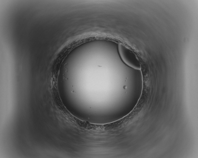 X0000115261495200911061228