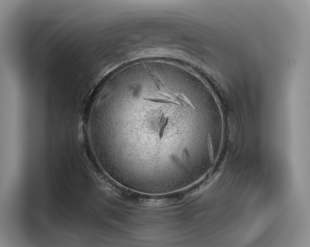 X0000115261497200911061228