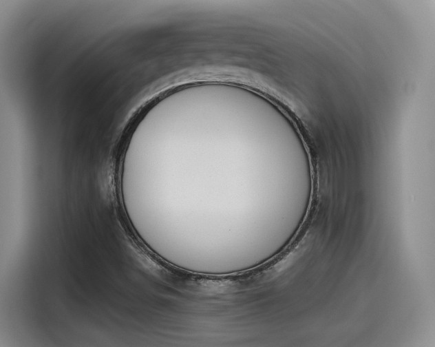 X0000115261498200911061228