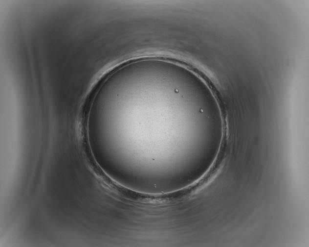 X0000115261501200911061228