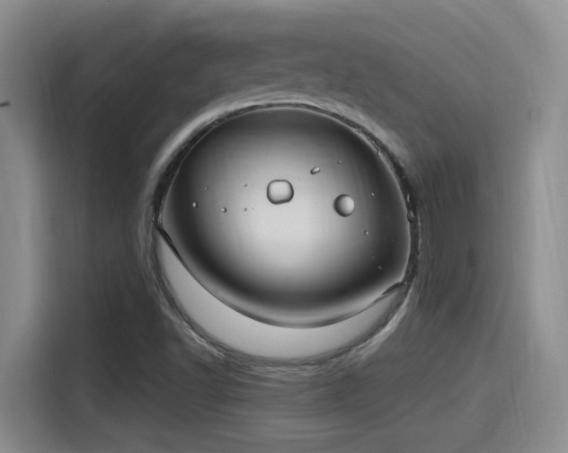 X0000115261502200911061228
