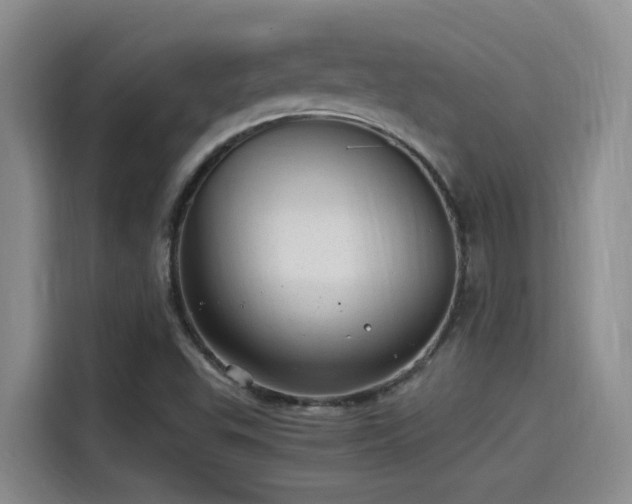 X0000115261503200911061228