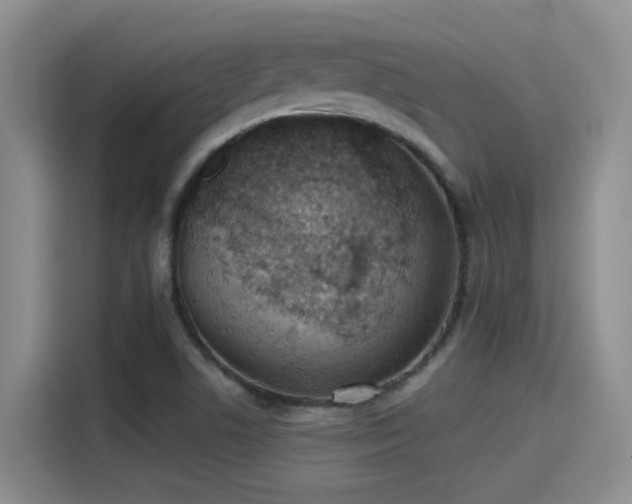 X0000115261506200911061228