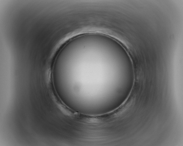 X0000115261507200911061228