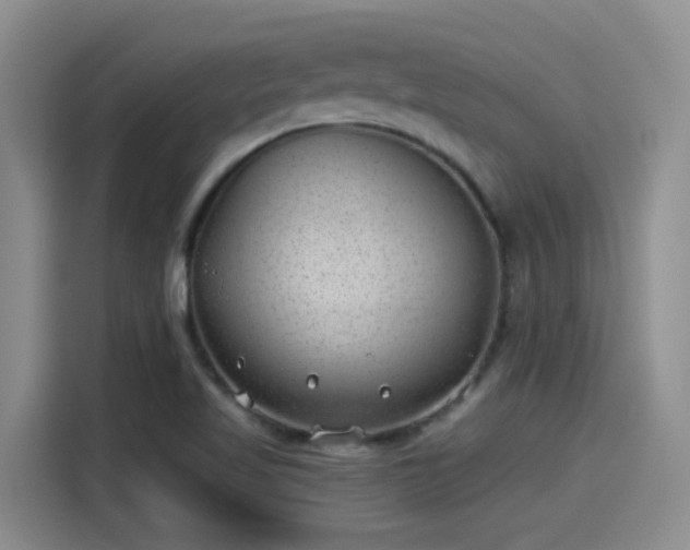 X0000115261509200911061228