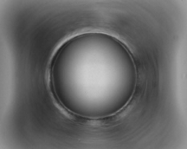 X0000115261511200911061228