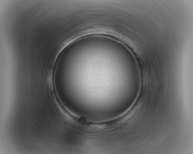 X0000115261513200911061228