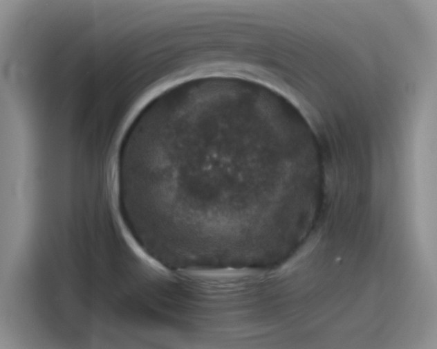 X0000115261515200911061228