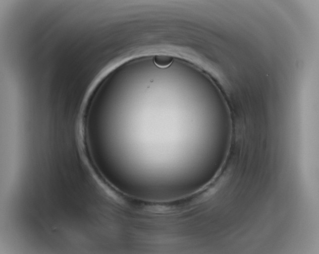 X0000115261517200911061228