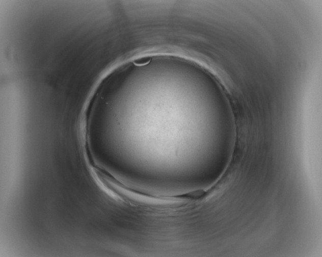 X0000115261519200911061228
