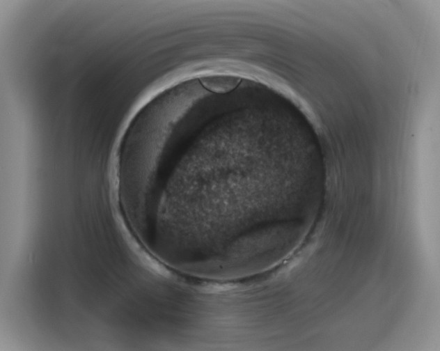 X0000115261522200911061228