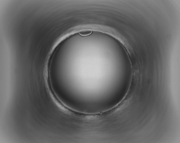 X0000115261523200911061228